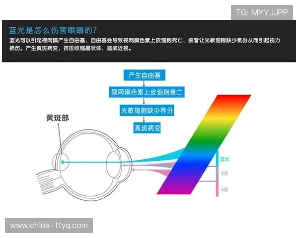 视网膜投影技术研究突破屏幕尺寸限制